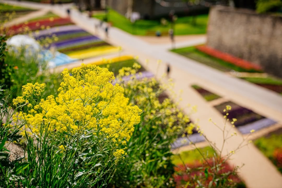 Foto: BUGA Erfurt 2021