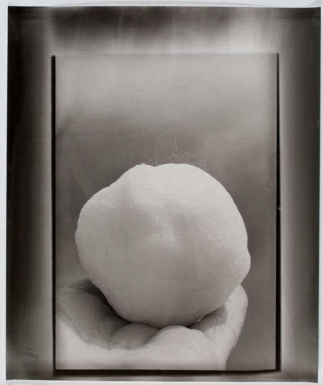 Dörte Eißfeldt, Schneeball, Nr. 16,
1987/88, Silbergelatinepapier, 61 x
50,5 cm, Sprengel Museum
Hannover, Hannover, Leihgabe
Land Niedersachsen