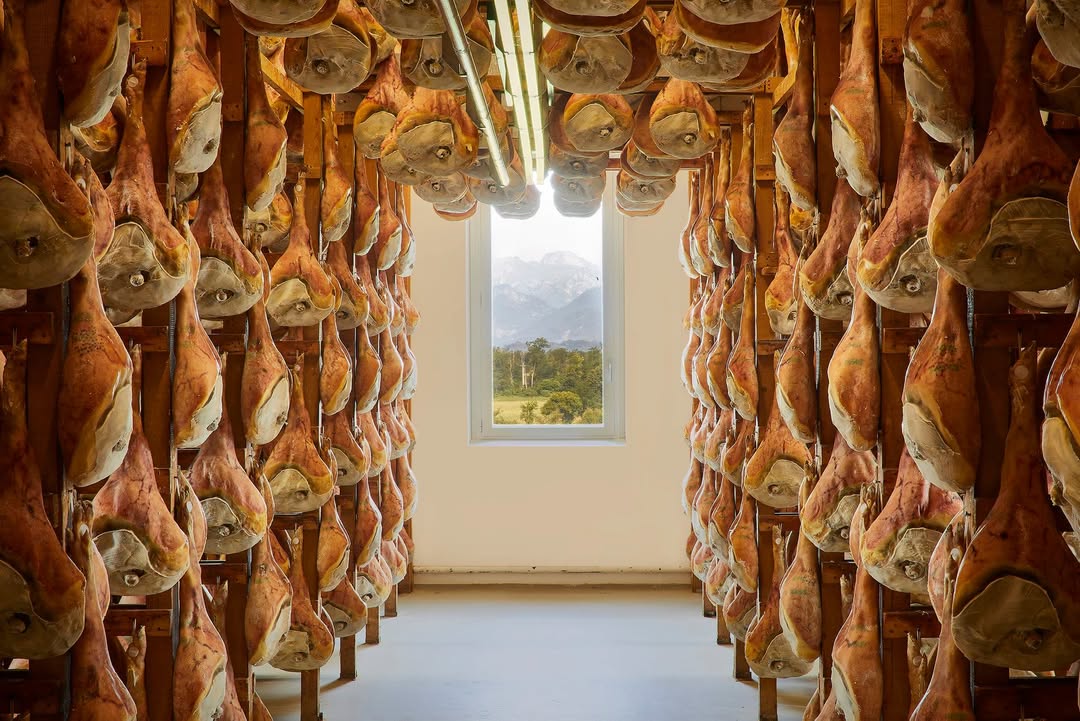 Reifekammer: Consorzio Prosciutto San San Daniele