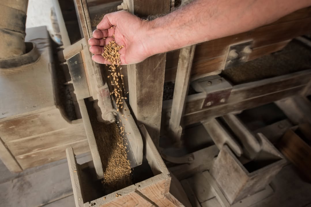 Sehenswert ist die uralte Reismühle aus dem 17. Jahrhundert in der „Pila Vecia“ („Alter Hof“) von Gabriele Ferron. Sie wird heute noch eingesetzt für die Herstellung einer speziellen Reissorte. Bild: @Italcam