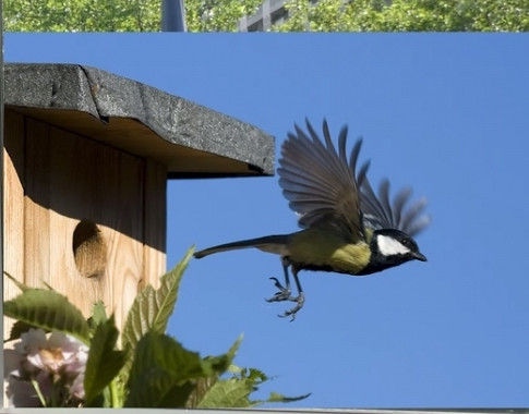 Hubert und Theresa Scholze, Aichach-Friedberg, sind seit 40 Jahren im Vogelschutz aktiv. Sie kontrollieren im Lk. Aichach-Friedberg jährlich rd. 1.000 Brut- und Nistkästen, die sie zum größten Teil auch selbst aufgestellt und gebaut haben. Foto (Detail): © Bayerisches Staatsministerium für Umwelt und Verbraucherschutz