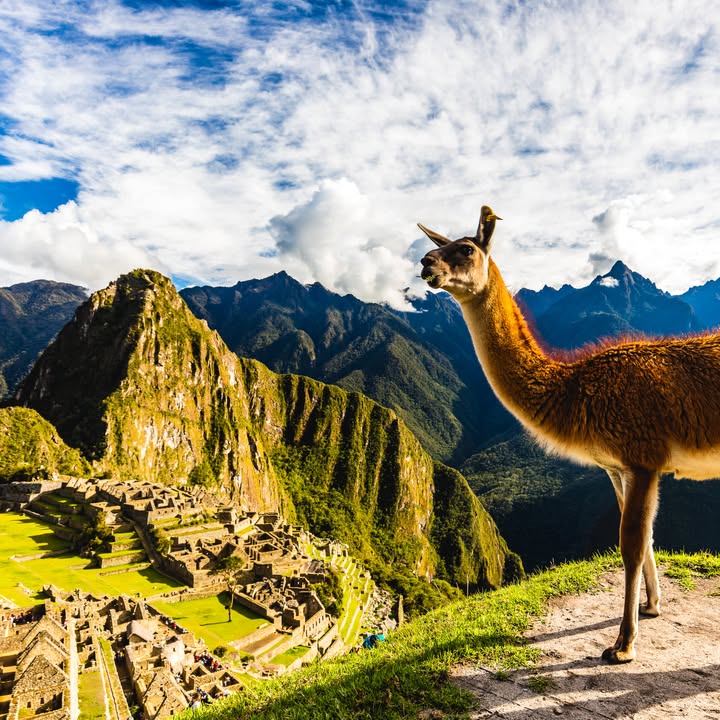 Ciudadela de Machu Picchu, Perú, Foto: PromPeru