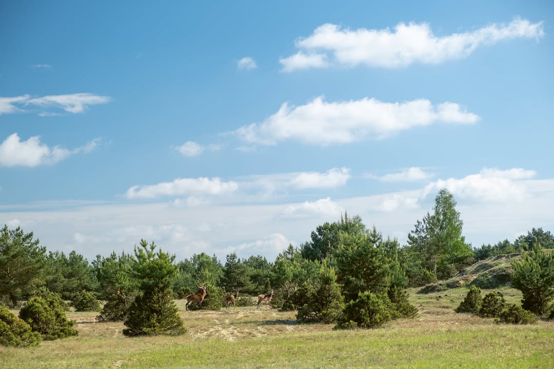 Wochenender Brandenburg Südwesten: Glauer Berge. Foto: © Sina Schwarz
