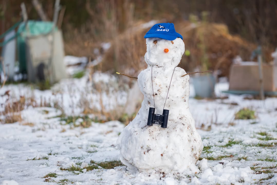 Schneemann auf Zählposten. Bild: ©NABU/Sebastian Hennigs