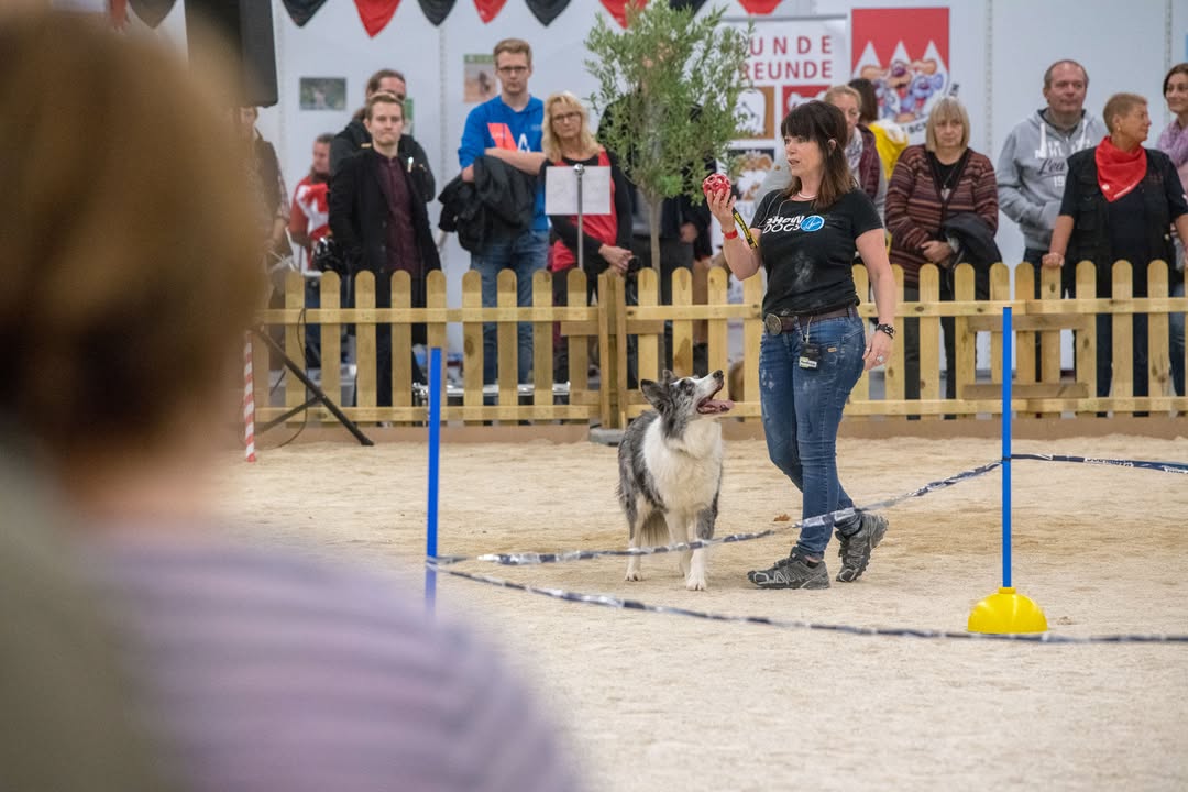 Heimtier Messe Hundewiese. Foto: © Mica