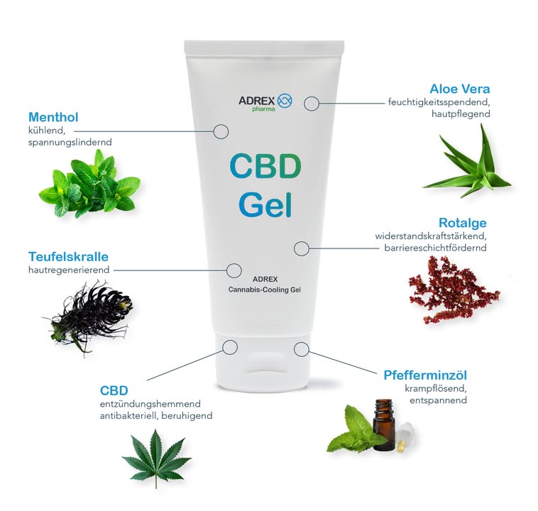 Für das neuartige Regenerationsgel hat das Koblenzer Pharmaunternehmen über ein komplexes CO2-Verfahren reines CBD aus der Cannabis-Pflanze isoliert und in einer Formulierung mit zehn natürlichen Pflanzenstoffen kombiniert. Allesamt natürliche Inhaltsstoffe, die für ihre körperlich unterstützenden Eigenschaften von kühlend bis pflegend bekannt sind.