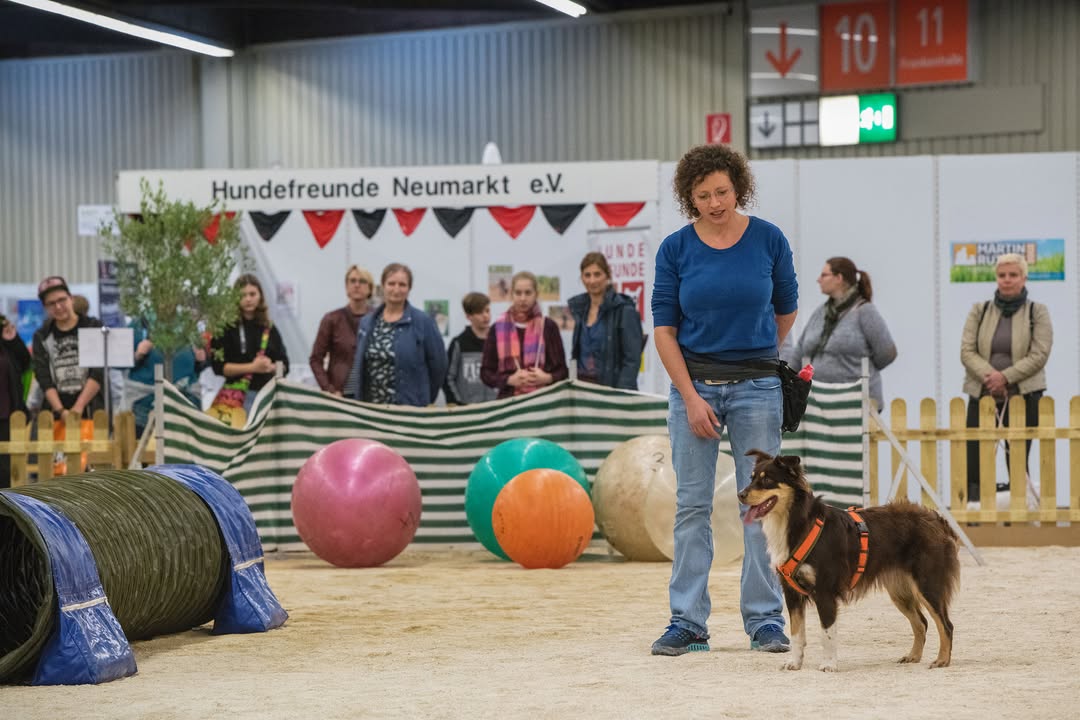 Heimtiermesse: Hundewiese. Foto: © www.consumenta.de/UdoDreier