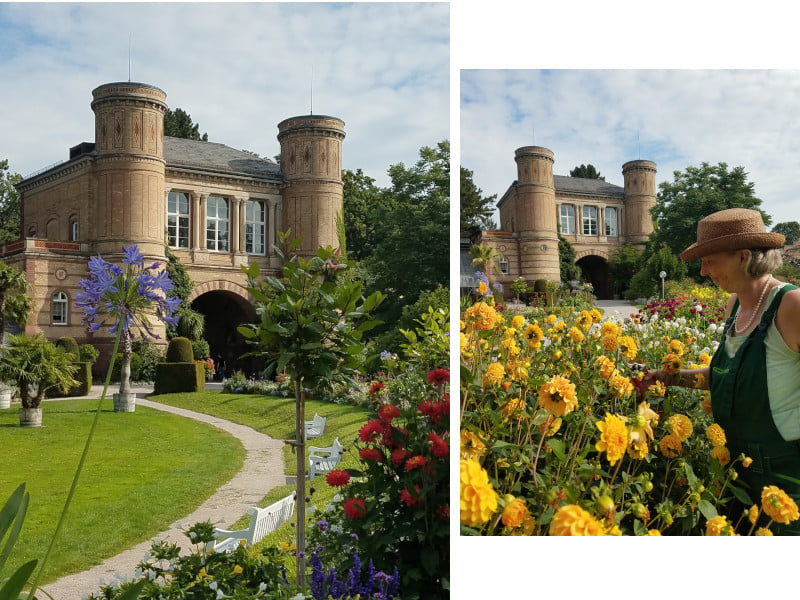 Der Botanischer Garten – Pflanzenpflege ist angesagt. Foto: Brigitte Karch