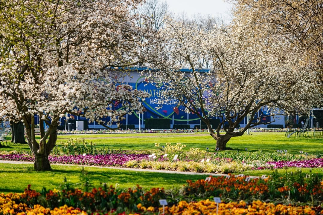 Große Wiese, Nachhaltig. Bild: BUGA Erfurt 2021