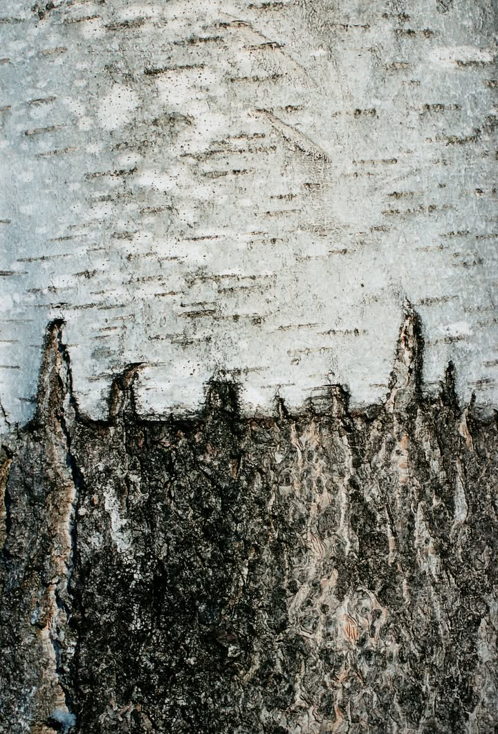 Die Türme der Stadt.© Sabine Jörg